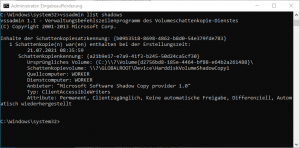 VSS per Kommandozeile aktivieren