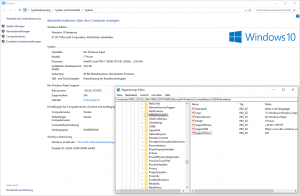 Windows 10 OEM Informationen