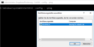 Zertifikatsanfrage testen, check Cert Request 3 Name der CA finden