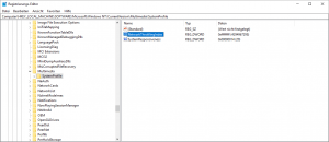 HKEY_LOCAL_MACHINE\SOFTWARE\Microsoft\Windows NT\CurrentVersion\Multimedia\SystemProfile NetworkThrottlingIndex
