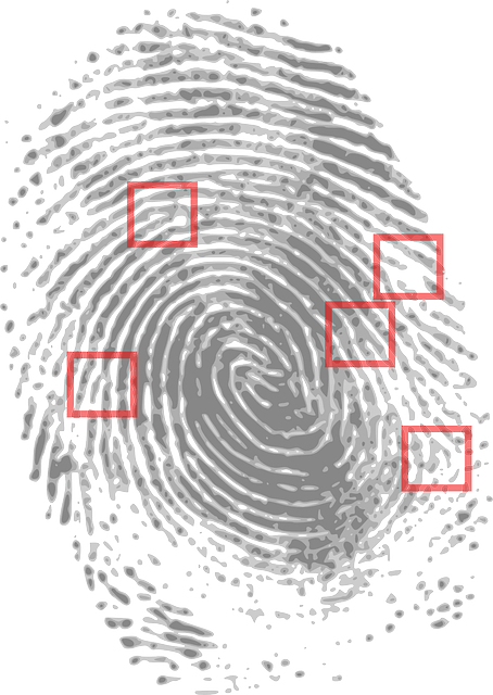 Office 365 litigation hold eDiscovery