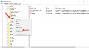 Export Share Permission