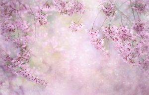 Microsoft Excel für kreative Zwecke nutzen 1 Kirschblüte