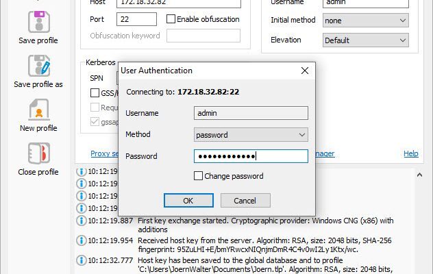 Windows 10 Bitvise SSH Client