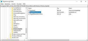 Windows Version festnageln