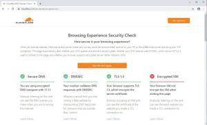 Cloudflare Security Browser Check