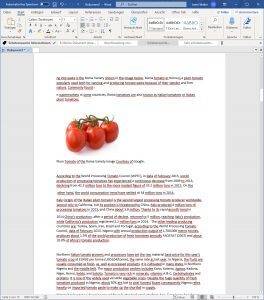 Defekte Worddatei repariert Defekte Worddatei repariert