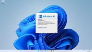 Windows 11 winver