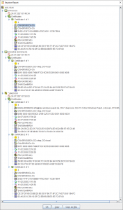 Keystore Report Keystore Report