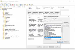 Vor dem Löschen des SPN Vor dem Löschen des SPN