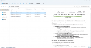 MSHTML-Schwachstelle CVE-2021-40444 Reg-Keys