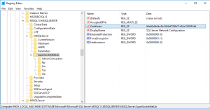 SSL Self Signed Fallback SQL Server SuperSocketNetLib
