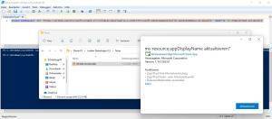 WinGet CLI WinGet CLI