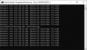 Netzwerkadapter Ping