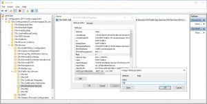 CN=Enrollment Services Flags Value 10 CN=Enrollment Services Flags Value 10