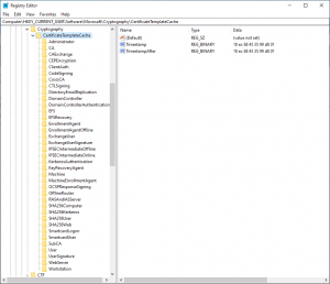 Ausgestelltes Zertifikat ohne Displayname CertificateTemplateCache