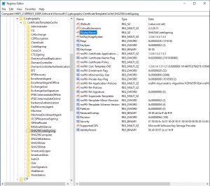 CertificateTemplateCache DisplaName CertificateTemplateCache DisplaName