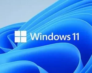 Windows 11 missing