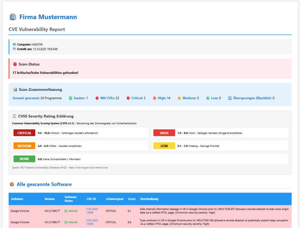 CVE Vulnerability Report